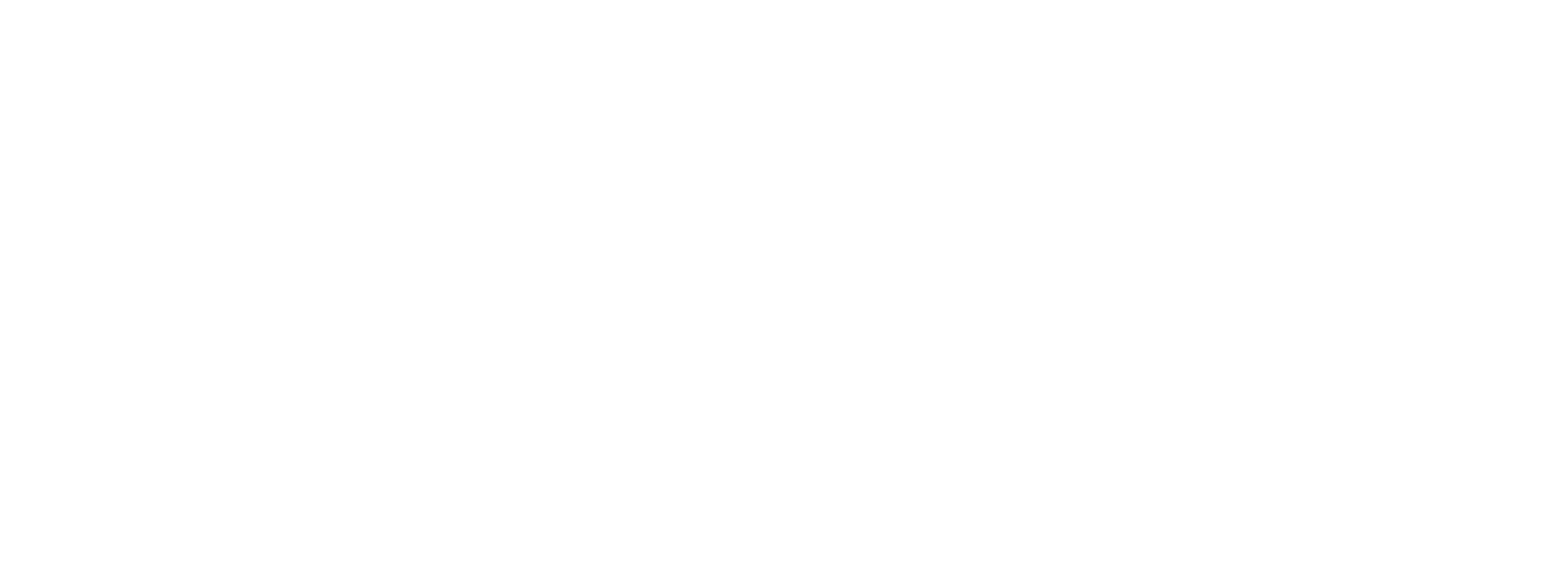 Instituto-RGS-Logo2